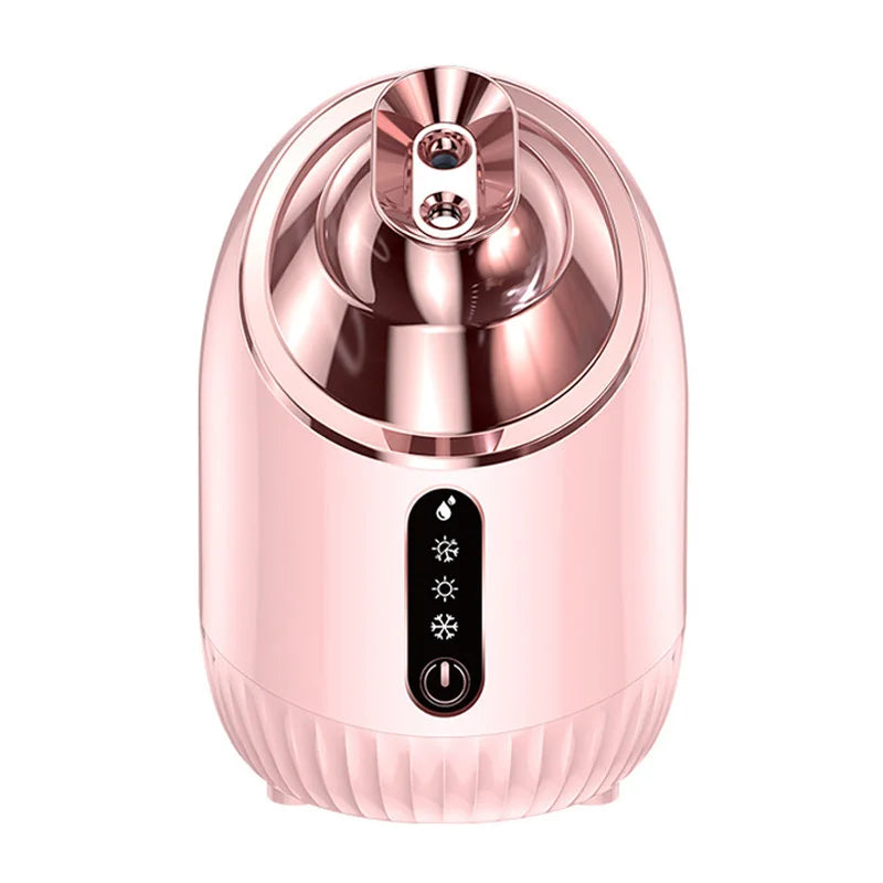 Brumisateur Vapeur Visage