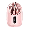 Brumisateur Vapeur Visage