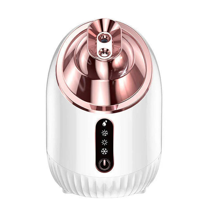 Brumisateur Vapeur Visage