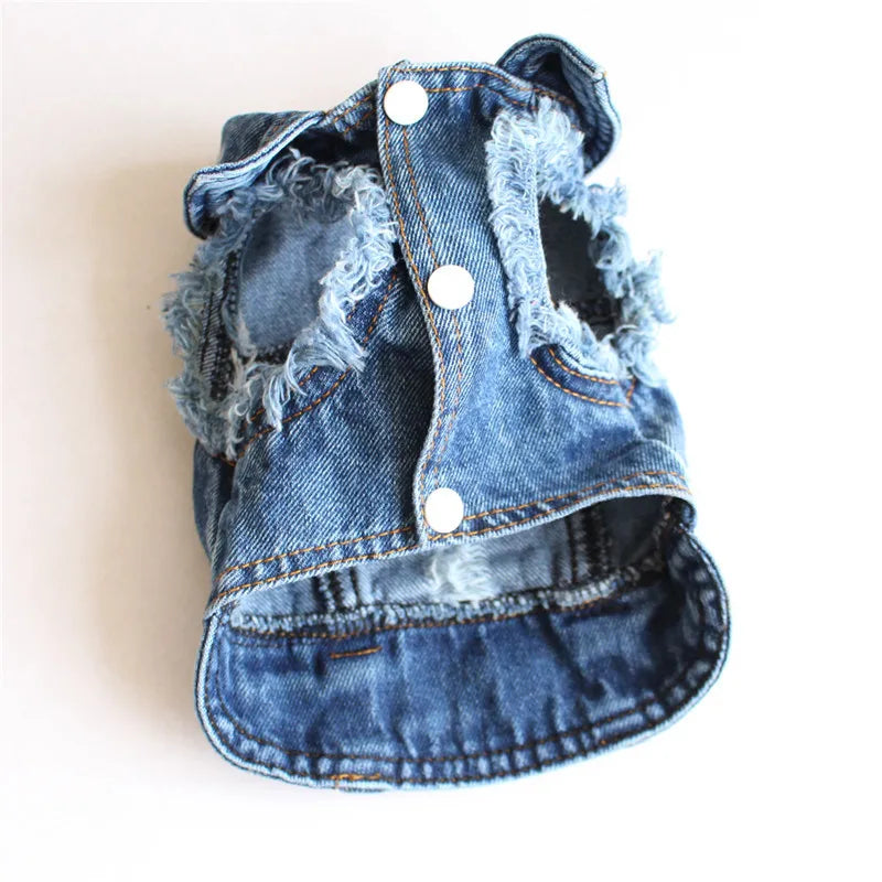 Gilet Jean Tendance Chat