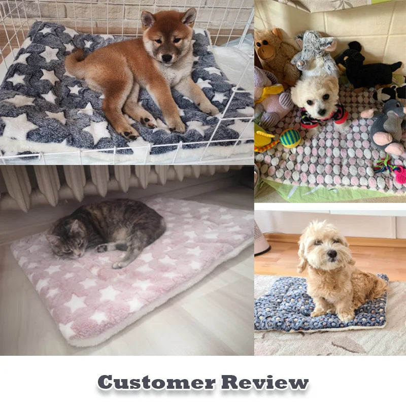 Couverture Polaire Pour Animaux