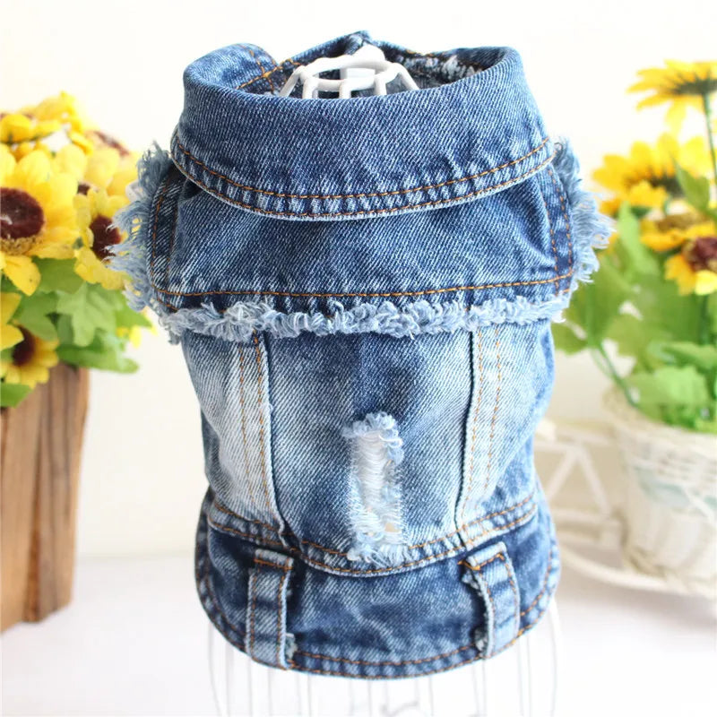 Gilet Jean Tendance Chat