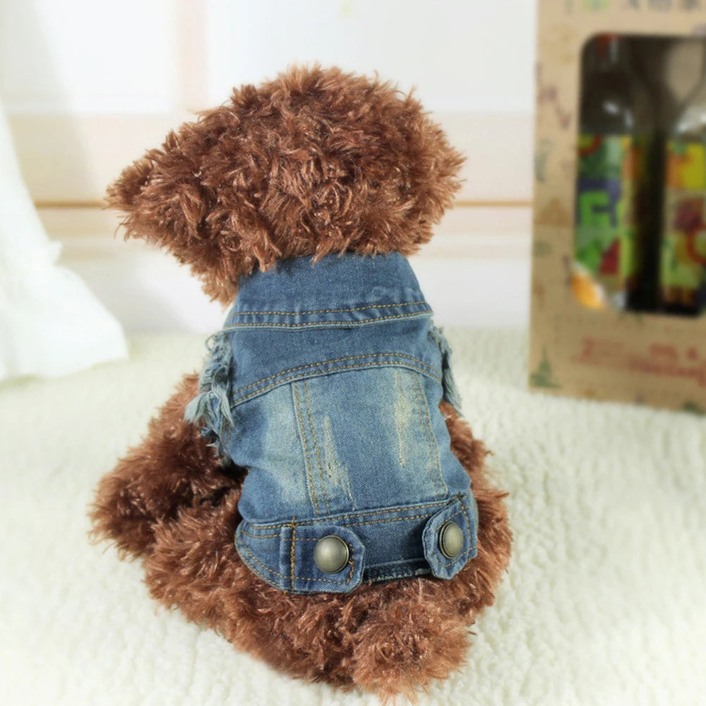 Gilet Jean Tendance Chat