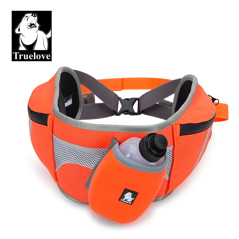 Sac Banane Promenade Chien