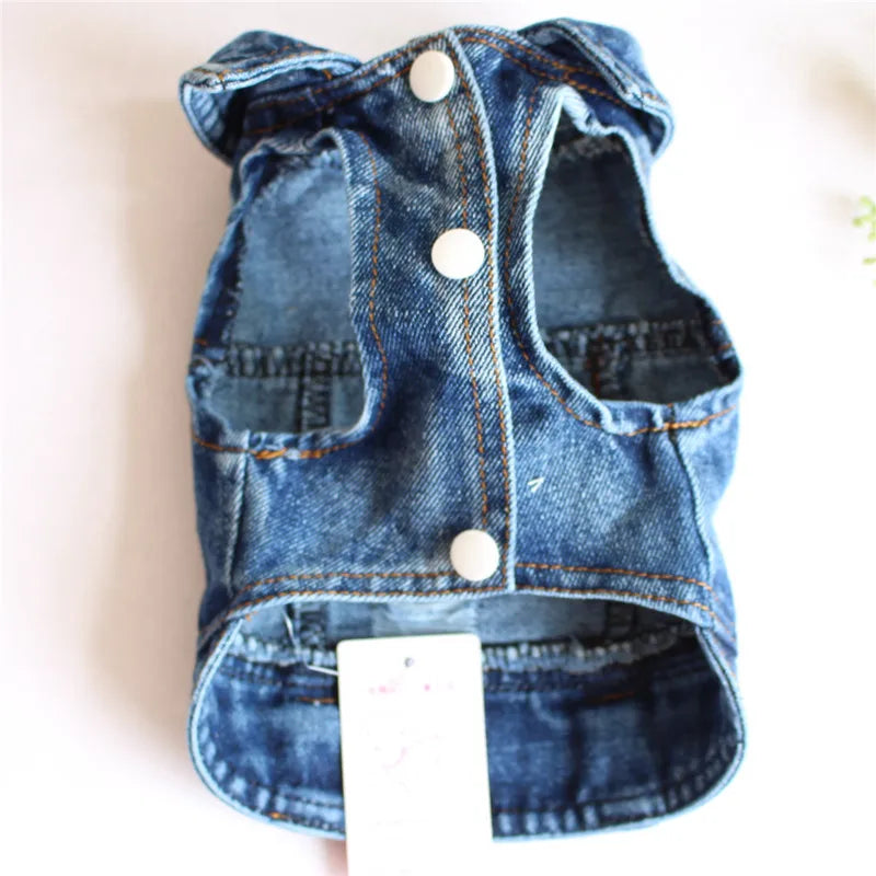 Gilet Jean Tendance Chat