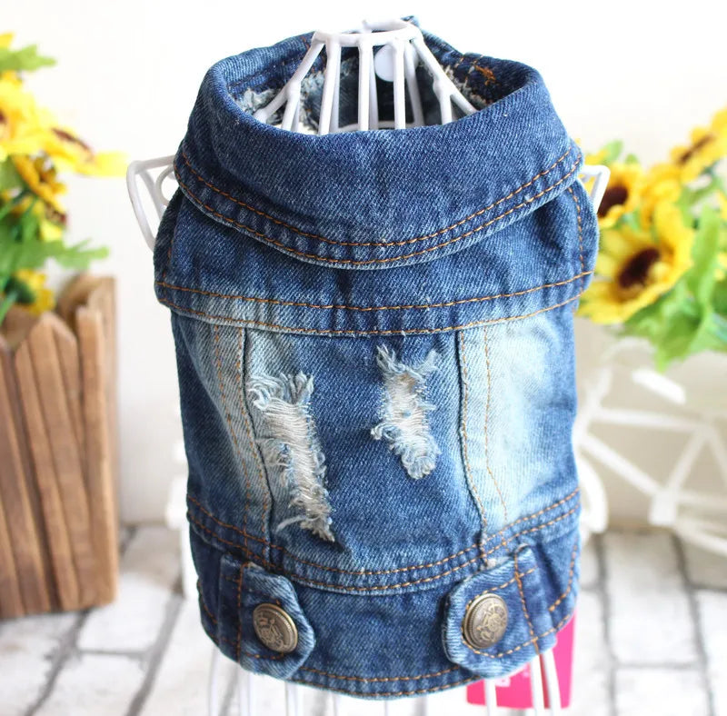 Gilet Jean Tendance Chat
