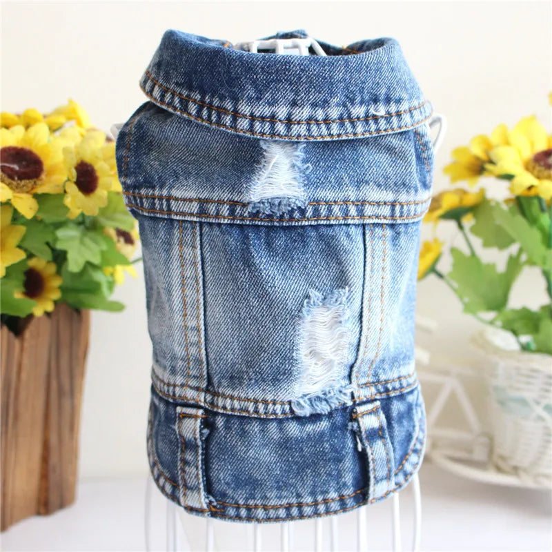 Gilet Jean Tendance Chat