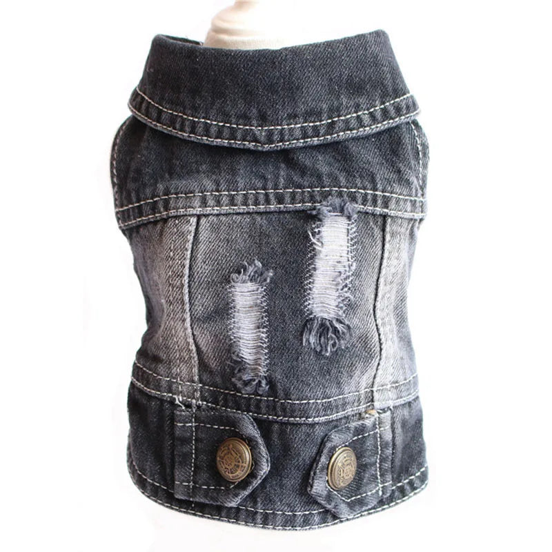 Gilet Jean Tendance Chat