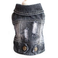 Gilet Jean Tendance Chat
