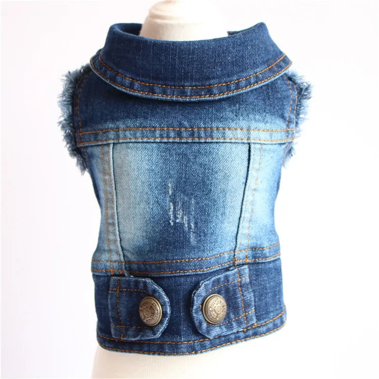 Gilet Jean Tendance Chat