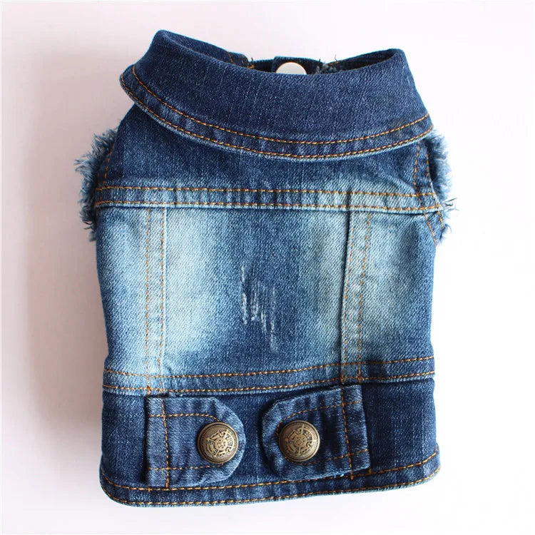 Gilet Jean Tendance Chat