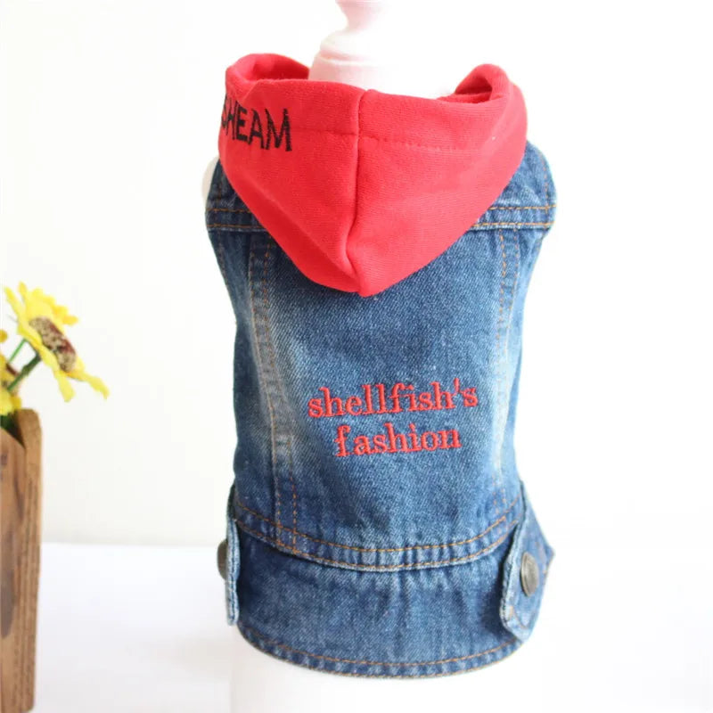 Gilet Jean Tendance Chat
