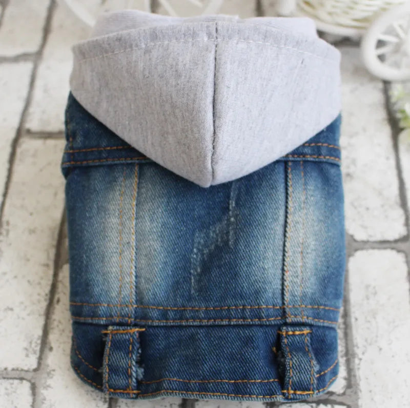 Gilet Jean Tendance Chat