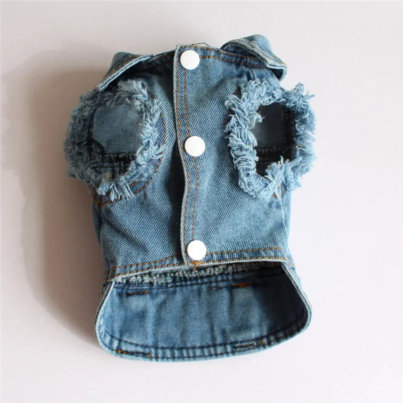 Gilet Jean Tendance Chat