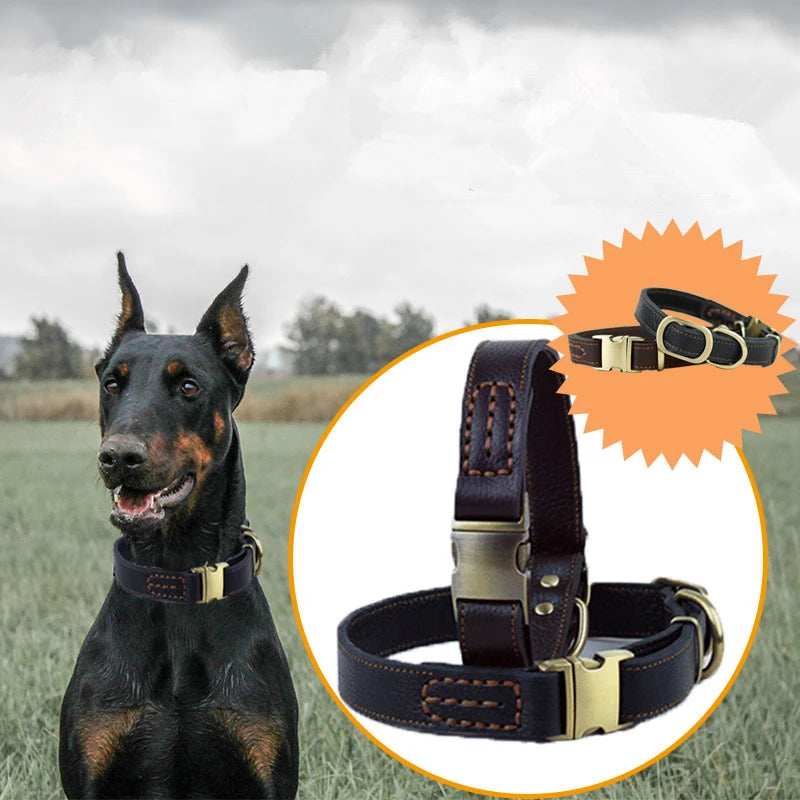 Collier Cuir Premium Pour Chien