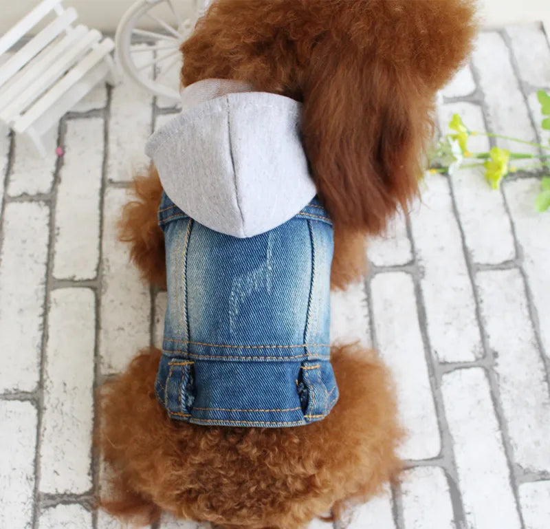 Gilet Jean Tendance Chat