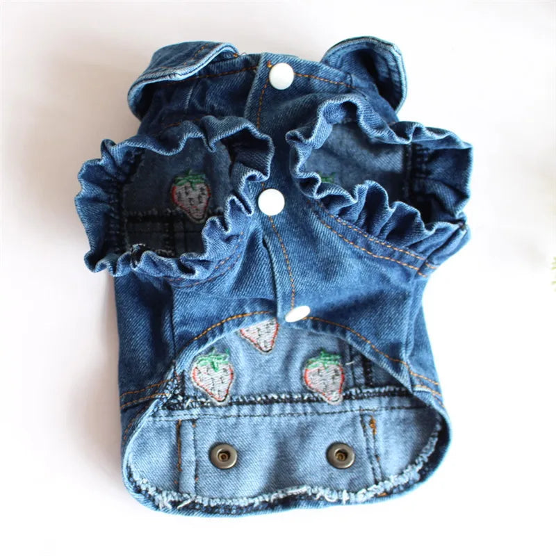 Gilet Jean Tendance Chat