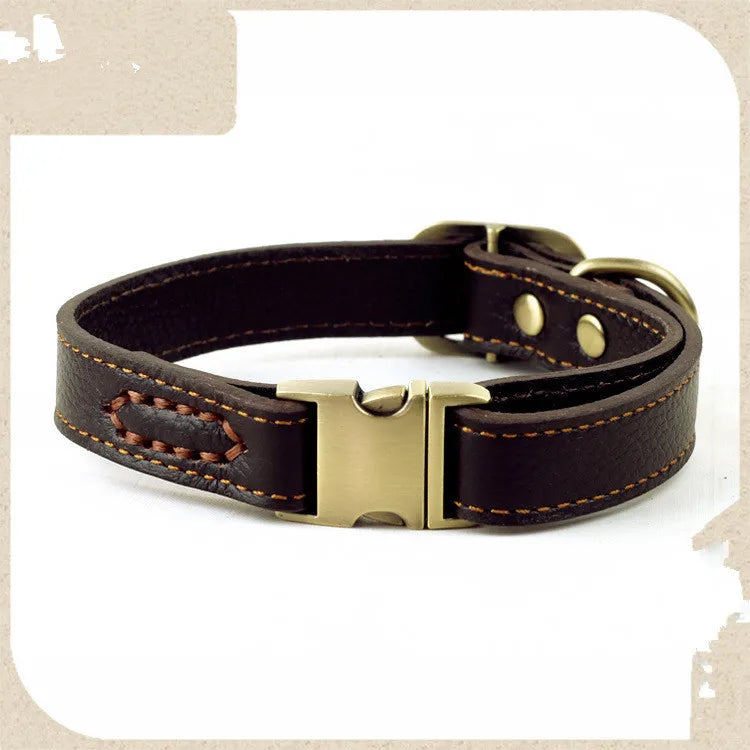 Collier Cuir Premium Pour Chien
