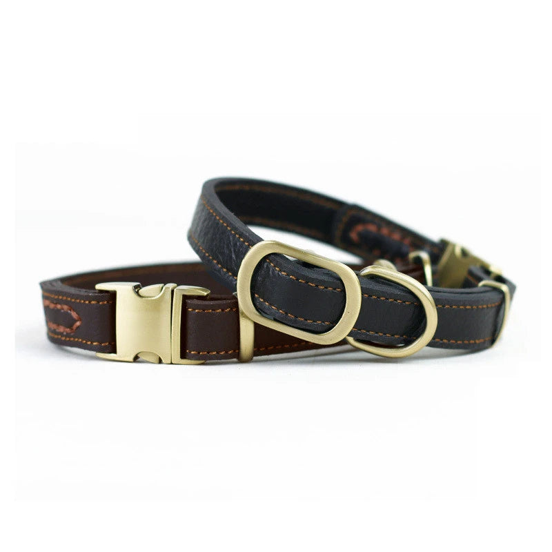 Collier Cuir Premium Pour Chien