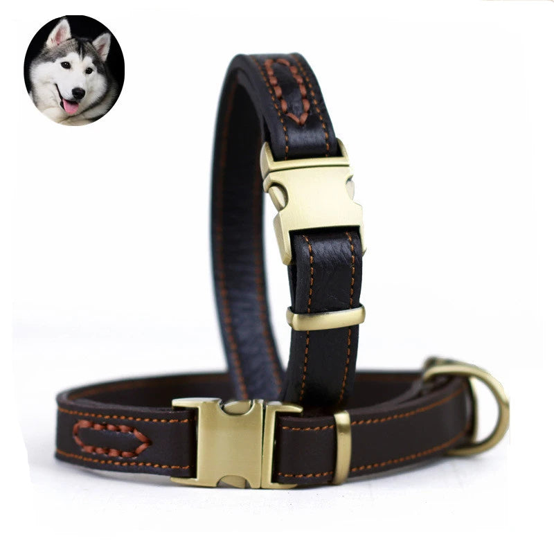 Collier Cuir Premium Pour Chien
