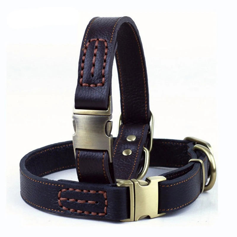 Collier Cuir Premium Pour Chien