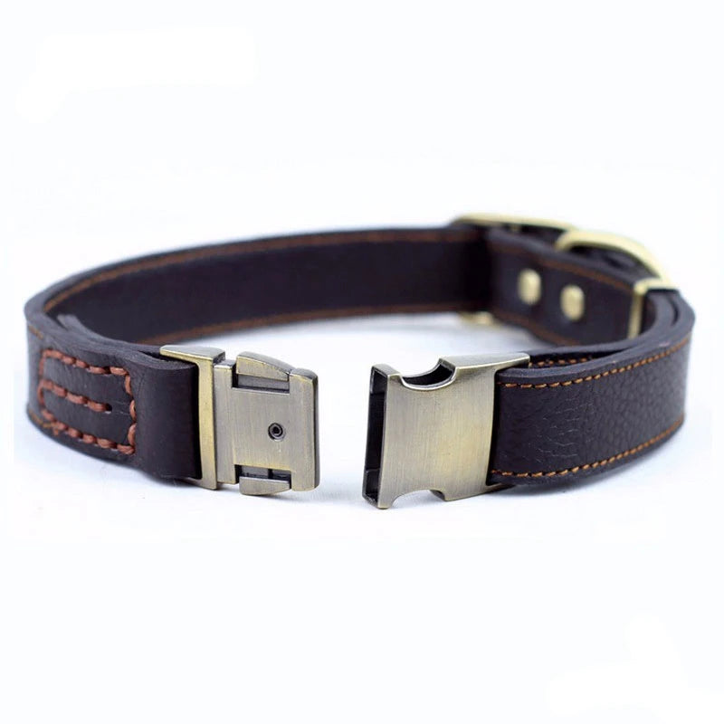 Collier Cuir Premium Pour Chien