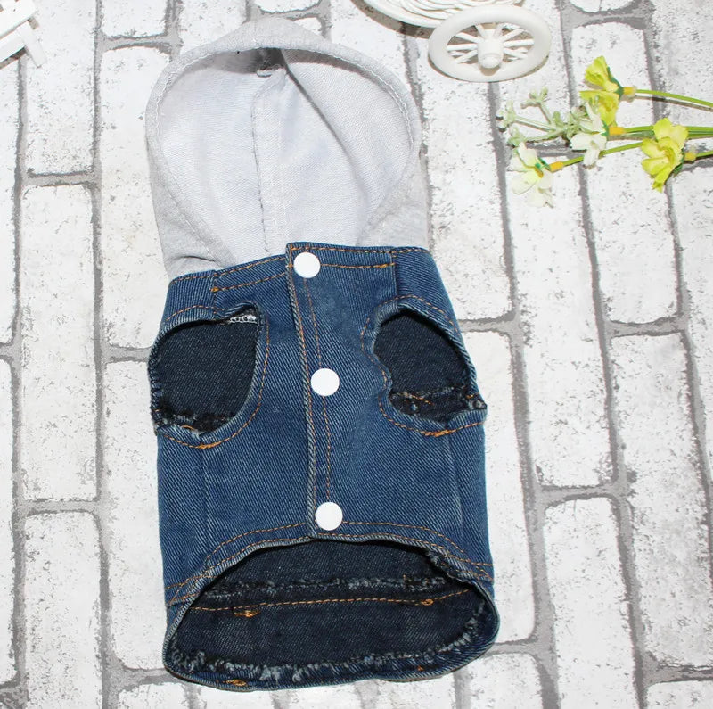 Gilet Jean Tendance Chat