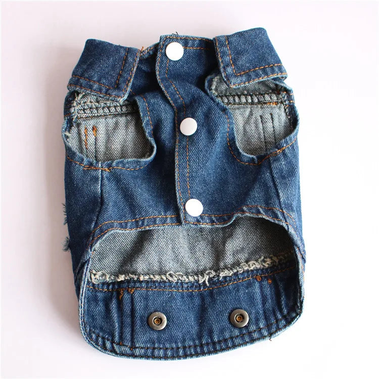Gilet Jean Tendance Chat