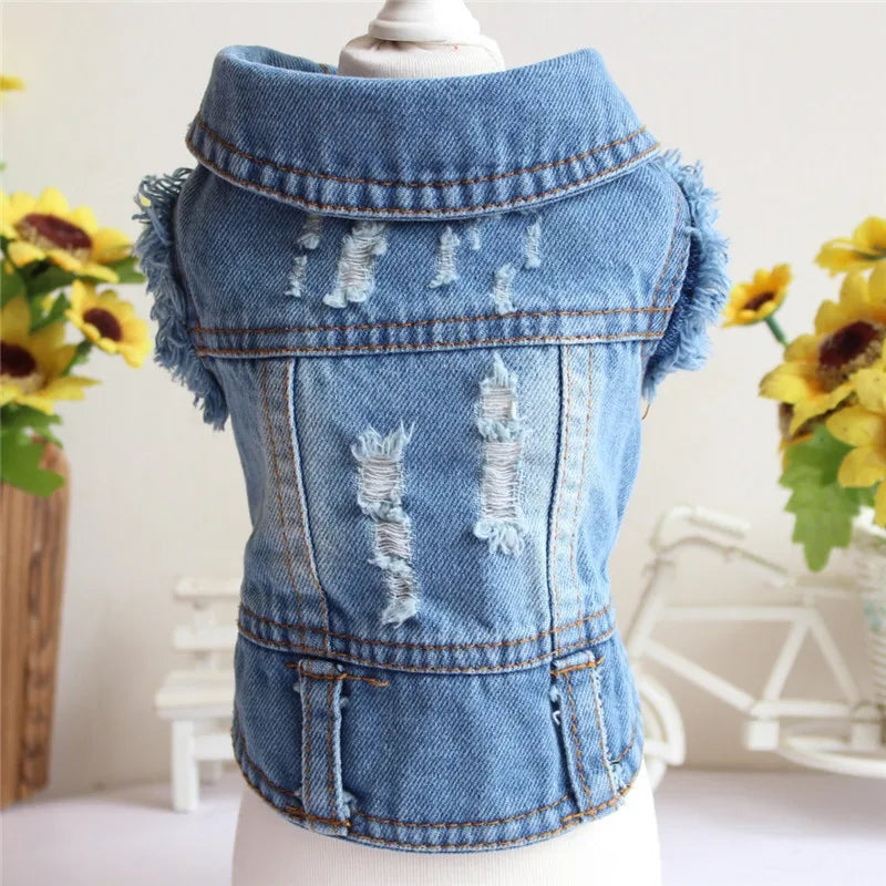 Gilet Jean Tendance Chat
