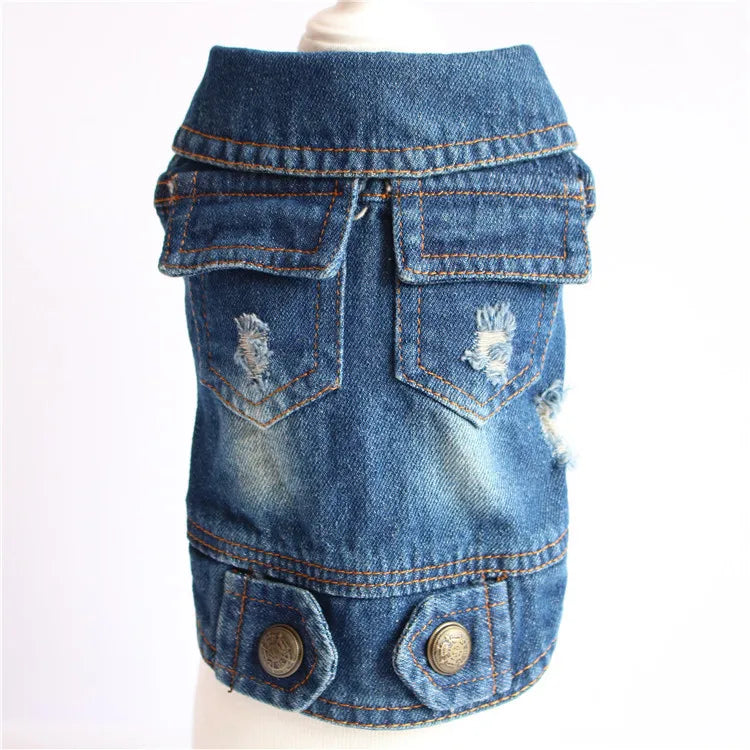 Gilet Jean Tendance Chat