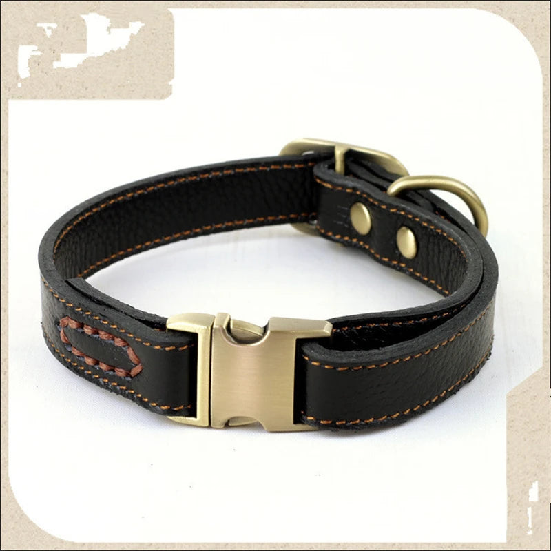 Collier Cuir Premium Pour Chien