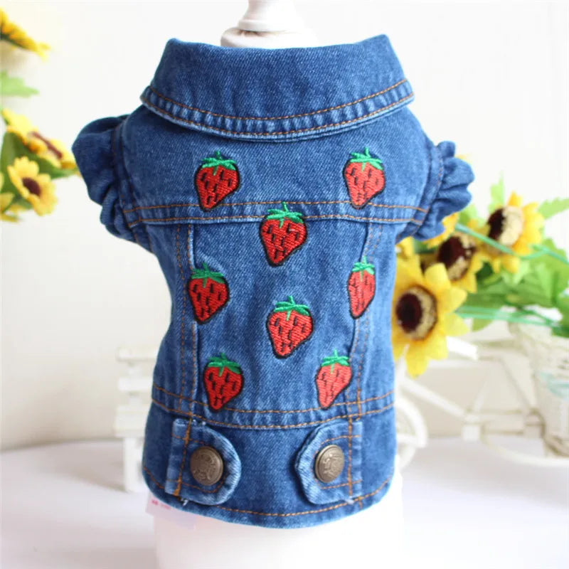 Gilet Jean Tendance Chat