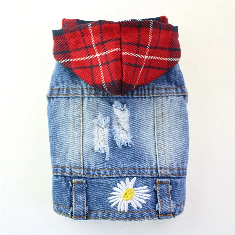 Gilet Jean Tendance Chat