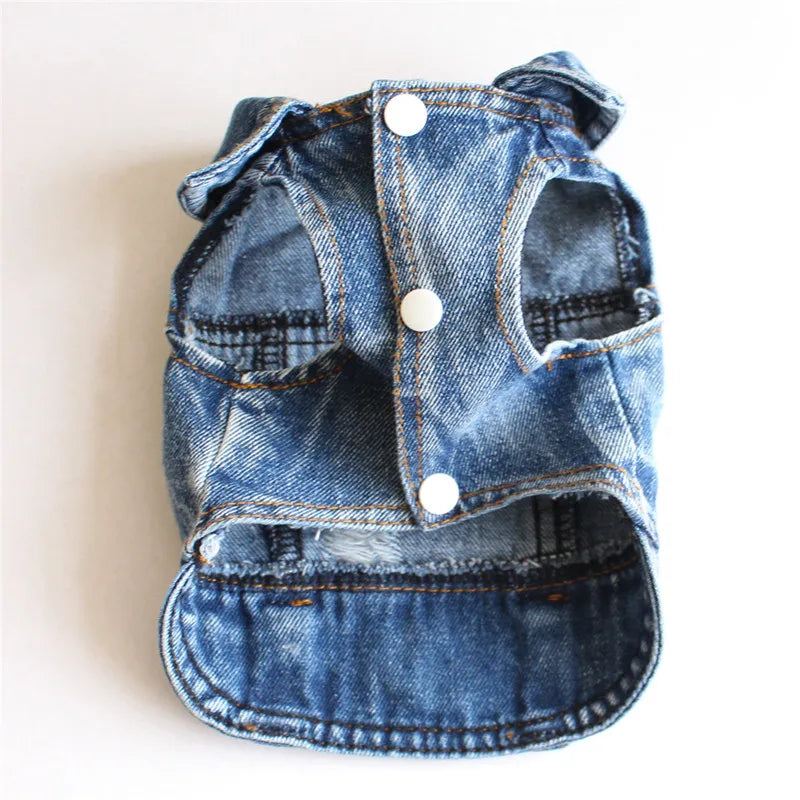 Gilet Jean Tendance Chat