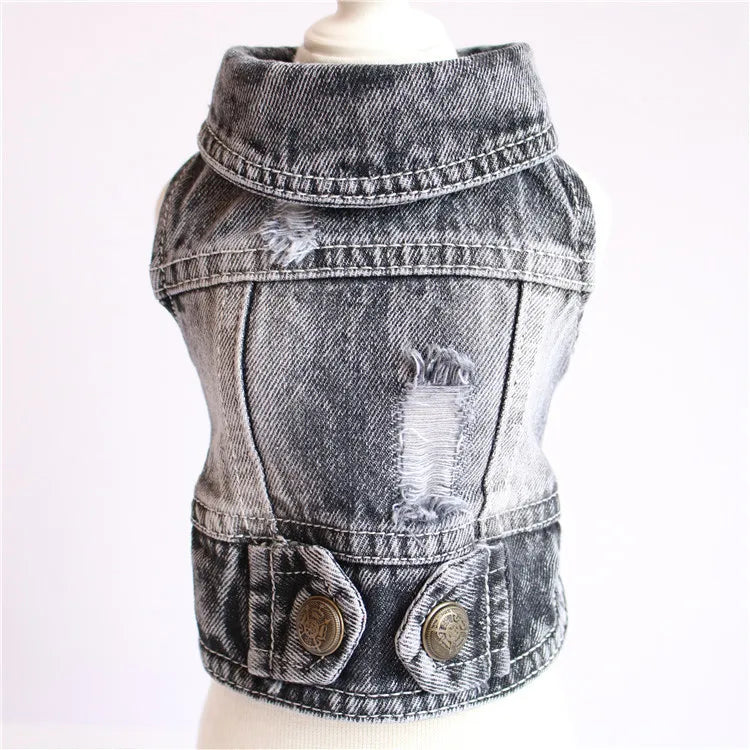 Gilet Jean Tendance Chat