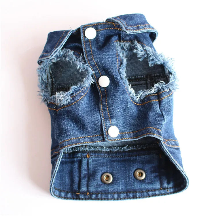 Gilet Jean Tendance Chat