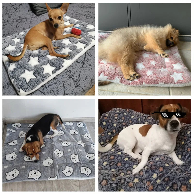 Couverture Polaire Pour Animaux