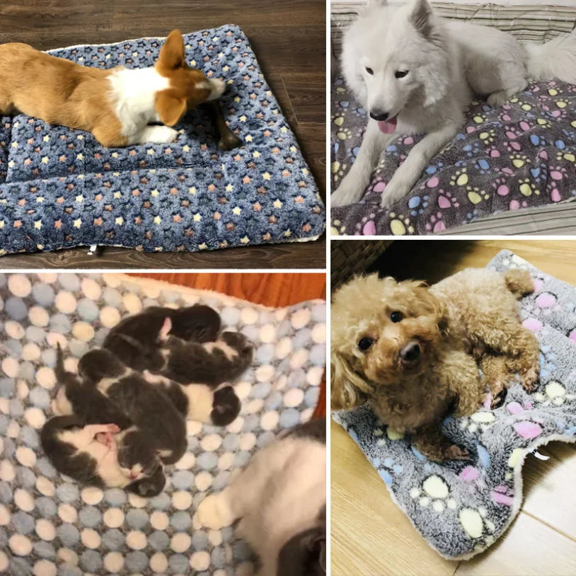 Couverture Polaire Pour Animaux