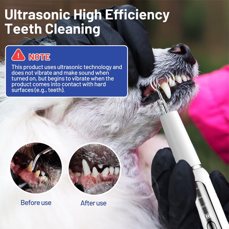 Nettoyeur Dentaire Ultrasonique