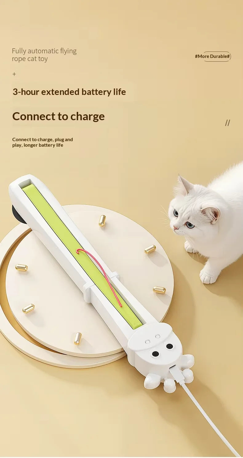 Petit Compagnon Interactif