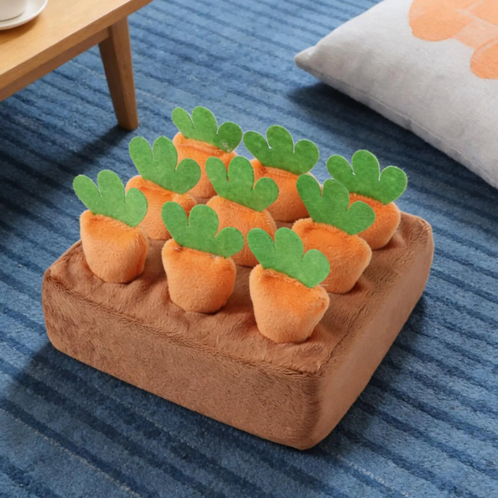 Tapis de Fouille Carottes