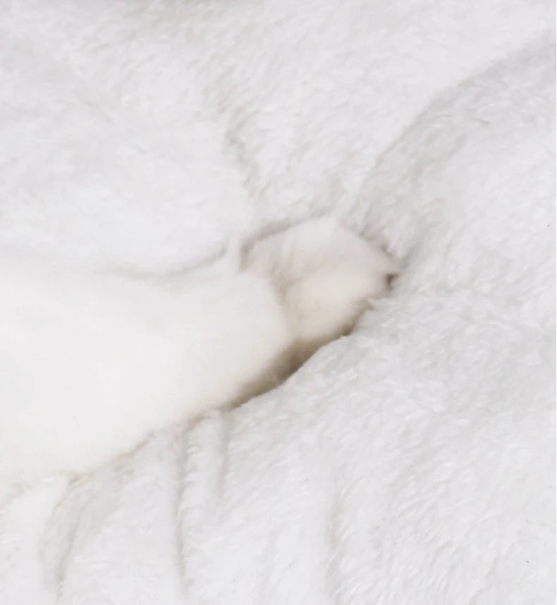 Nid  Douillet Yourte Panda