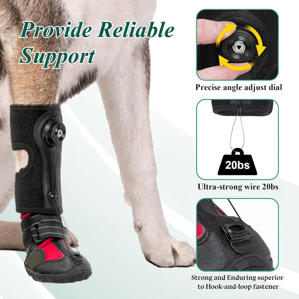 Chaussures Protection Pattes Chien
