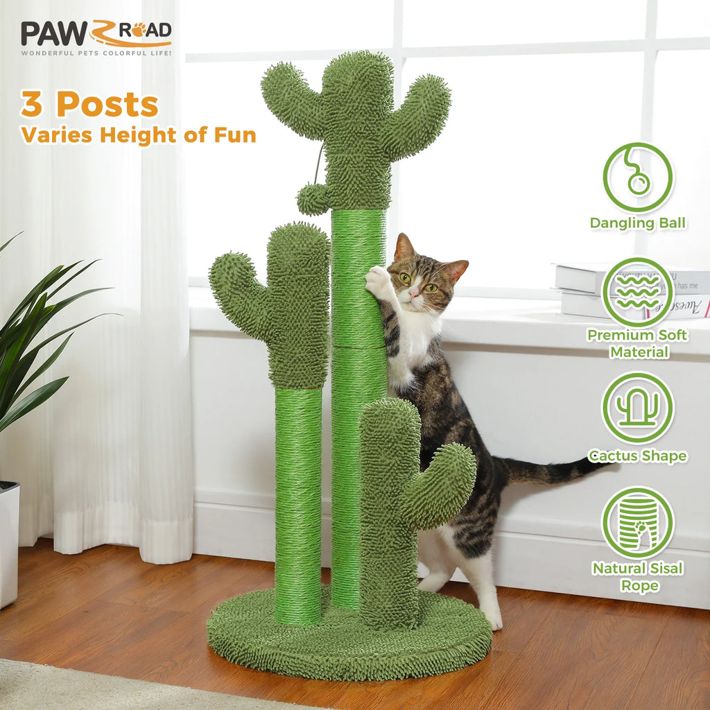Griffoir Cactus Pour Chat
