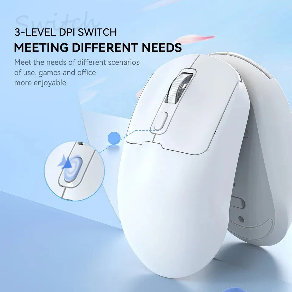 Souris Sans Fil Ergonomique