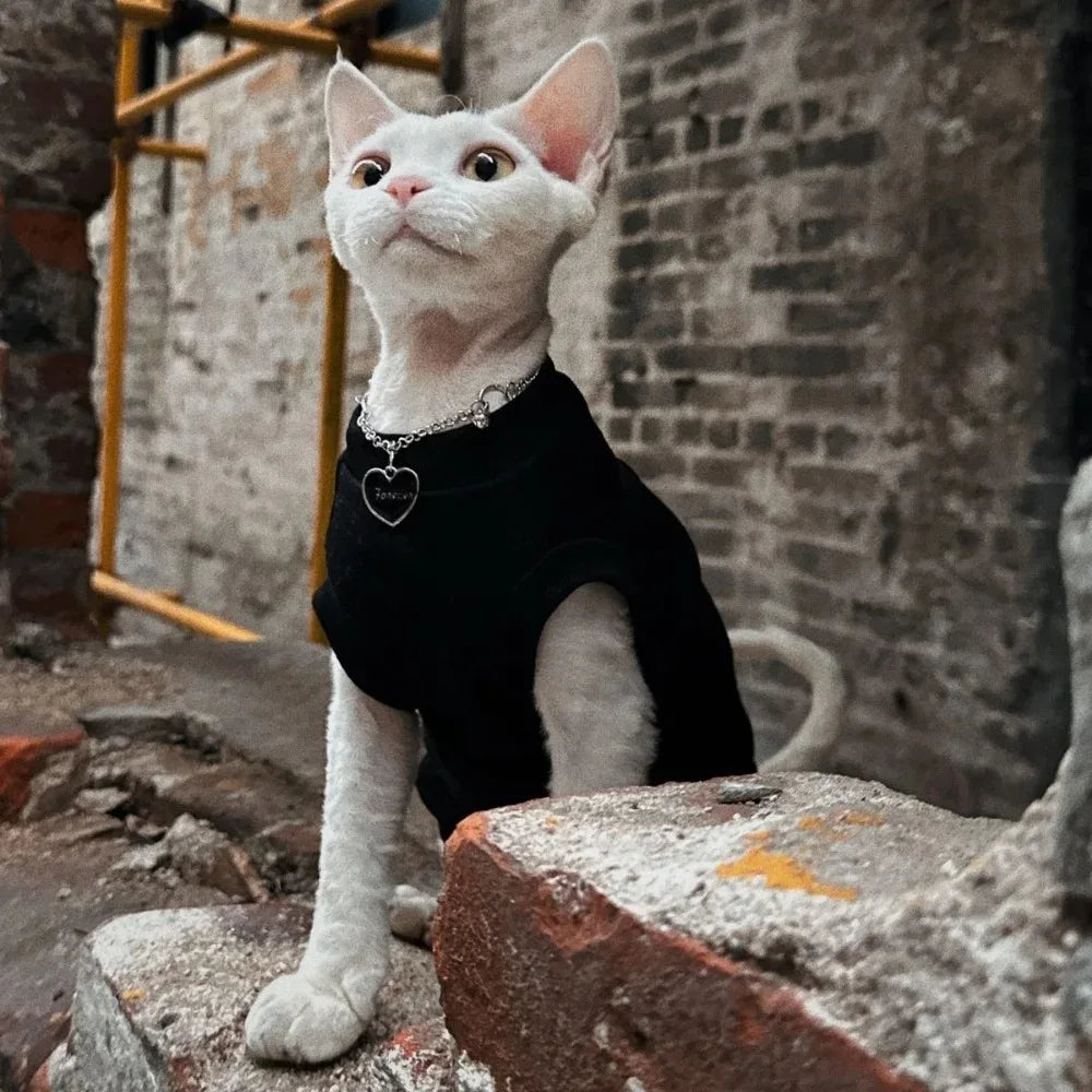 Gilet Chat Coton Doux
