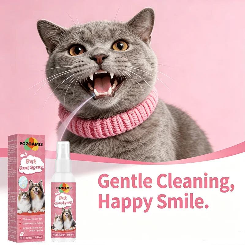 Soin Dentaire Pour Animaux