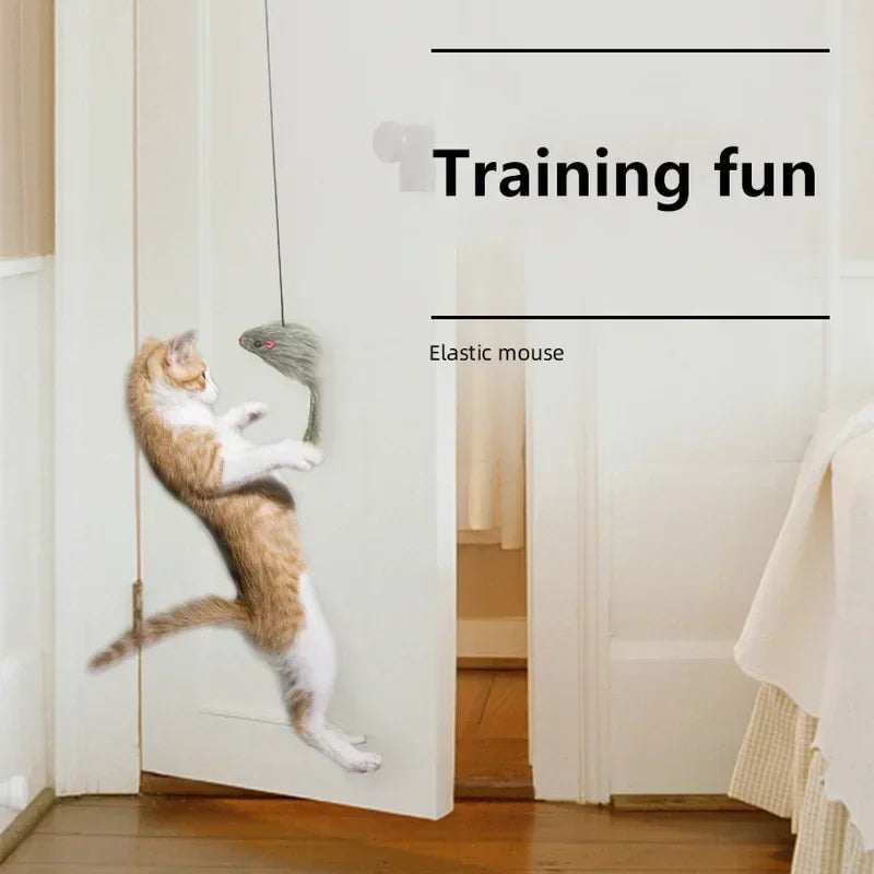 Souris Interactive Pour Chat