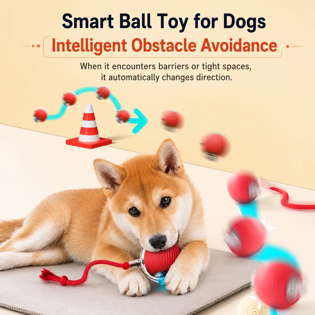 Balle Interactive Intelligente