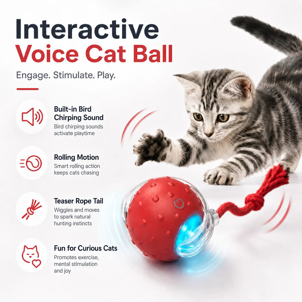 Jolie Balle Intelligente Pour Chat